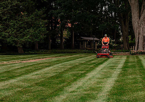 Lawn Mowing